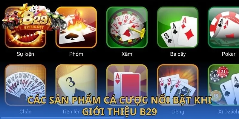 cac-san-pham-ca-cuoc-noi-bat-khi-gioi-thieu-b29