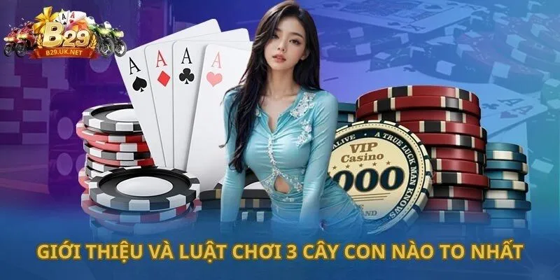 gioi-thieu-va-luat-choi-3-cay-con-nao-to-nhat